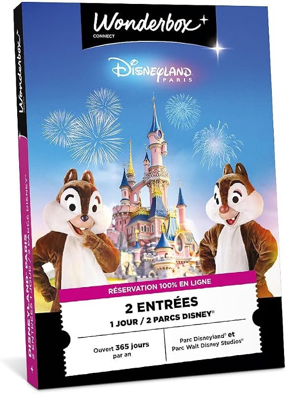 Coffret cadeau Wonderbox Disneyland Paris deux parcs
